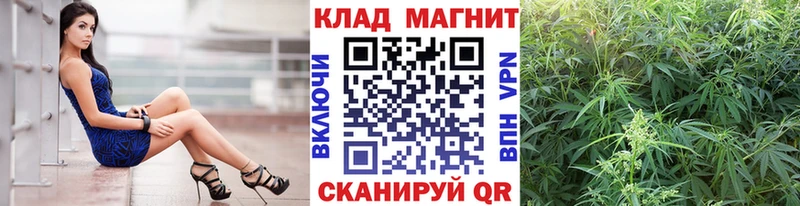 Где продают наркотики Старая Русса А ПВП МЕФ ГАШИШ Героин Бошки Шишки