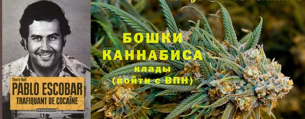 spice Магас