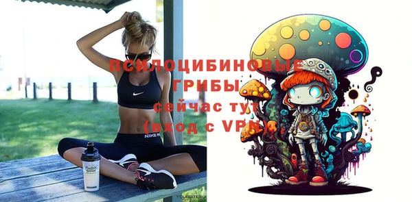 spice Магас