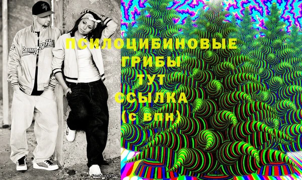 гидропоника Магадан